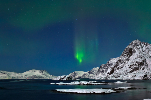 Nordlicht in Henningsvaer, Lofoten