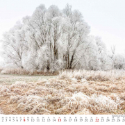 Selztal Kalender, Januar, Raureif an der Selz