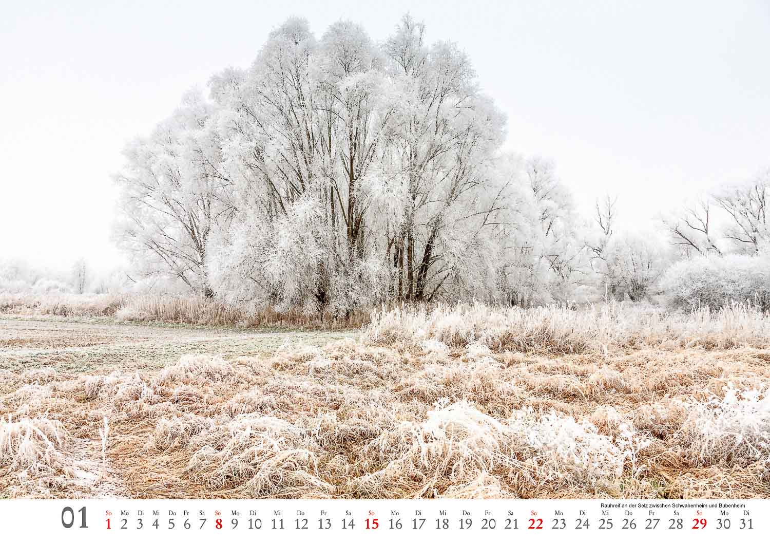 Selztal Kalender, Januar, Raureif an der Selz