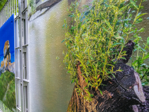 Outdoor-Ausstellung-Im Regen