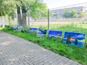 Outdoor-Ausstellung-Ingelheim1