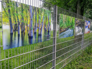 Outdoor-Ausstellung-Ingelheim4