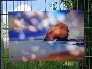 Outdoor-Ausstellung-Ingelheim6