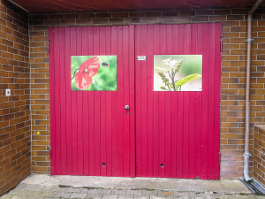 Hofgalerie in Schwabenheim