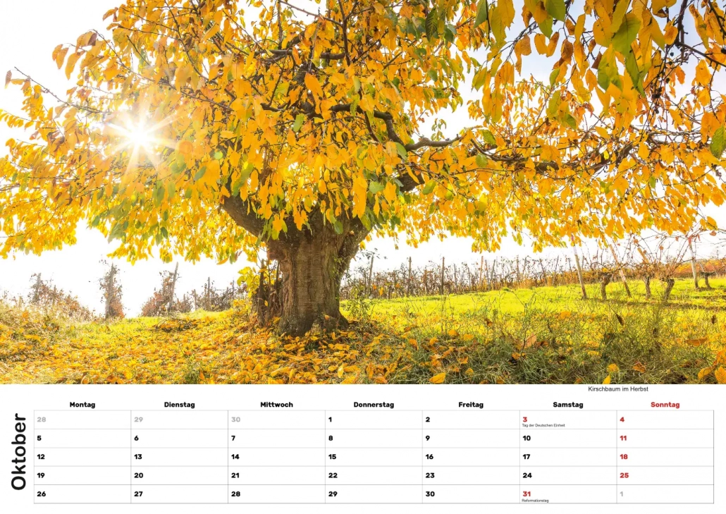Selztal Kalender 2026 Oktober
