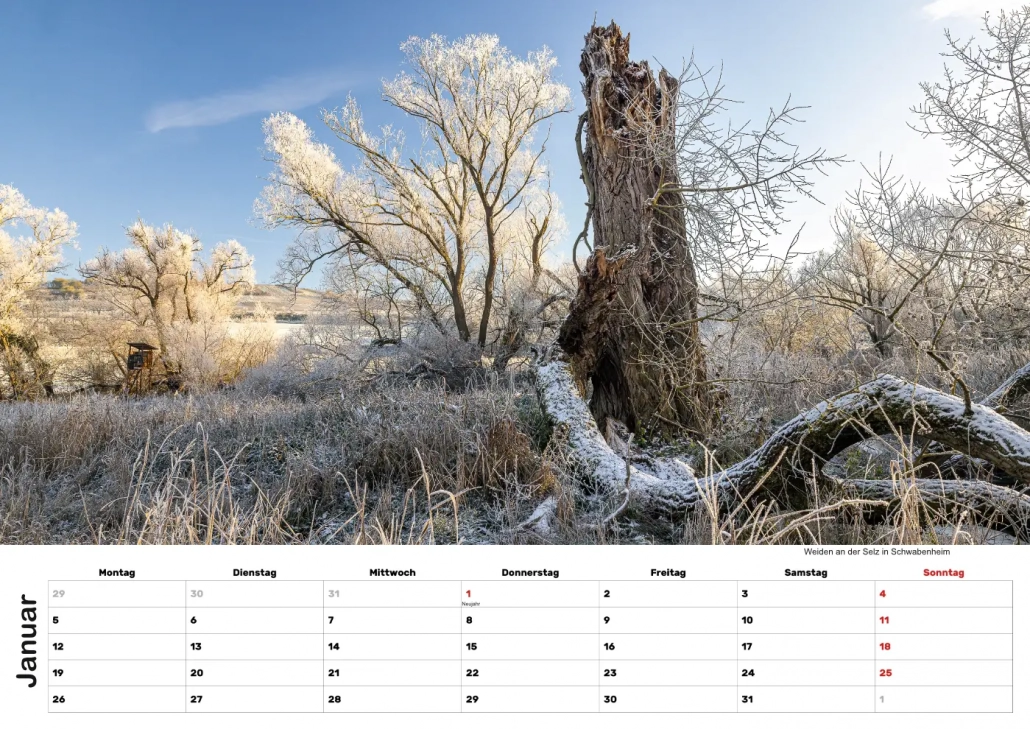 Selztal Kalender 2026 Januar 