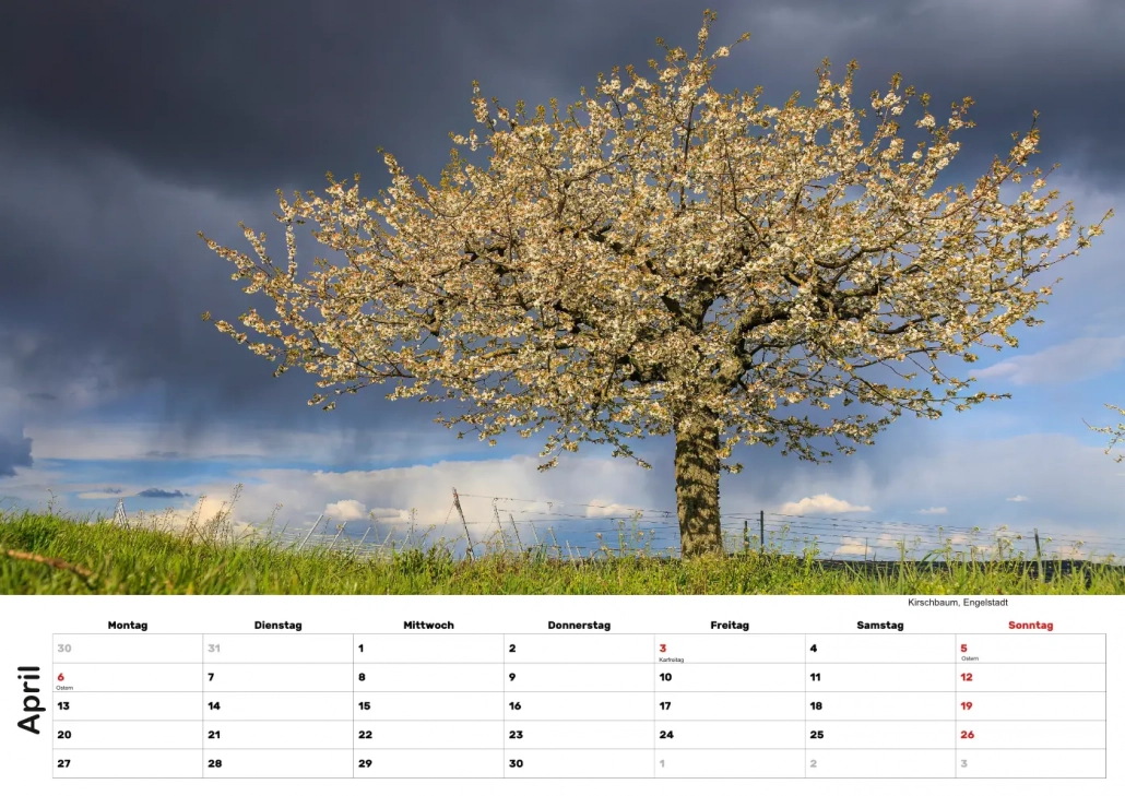 Selztal Kalender 2026 April