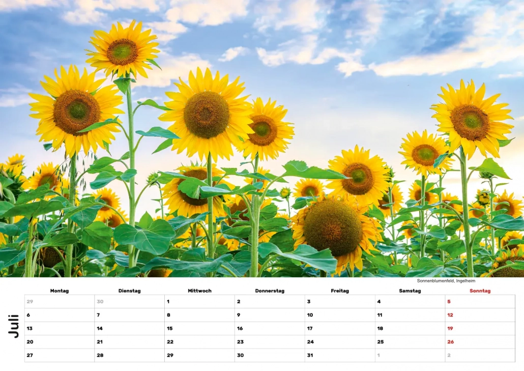 Selztal Kalender 2026 Juli